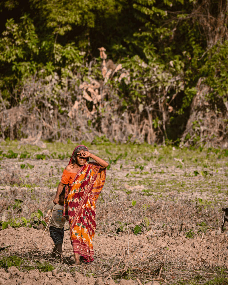 Khetwise: Farm Advice in the Farmer's Own Language