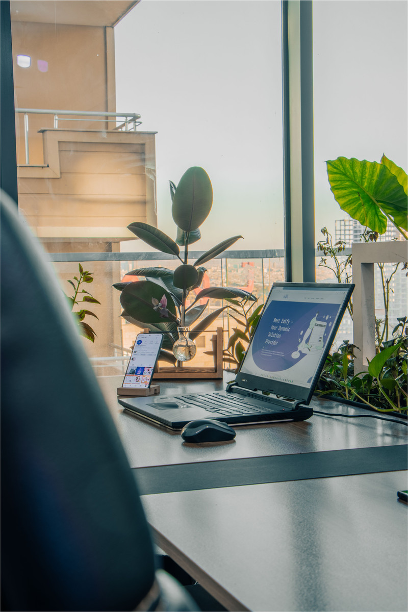 A desk by the window with plants.